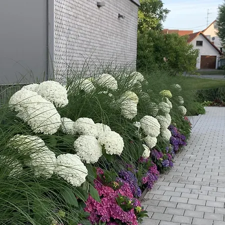 Trilogie Am - Schmetterling * シュテッテン