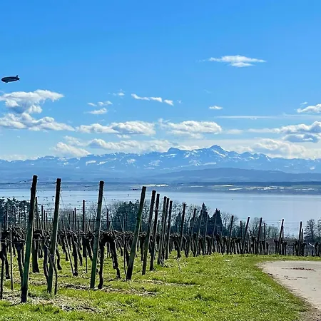 Trilogie Am - Schmetterling シュテッテン