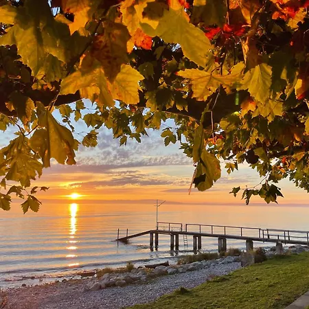 Trilogie Am - Schmetterling